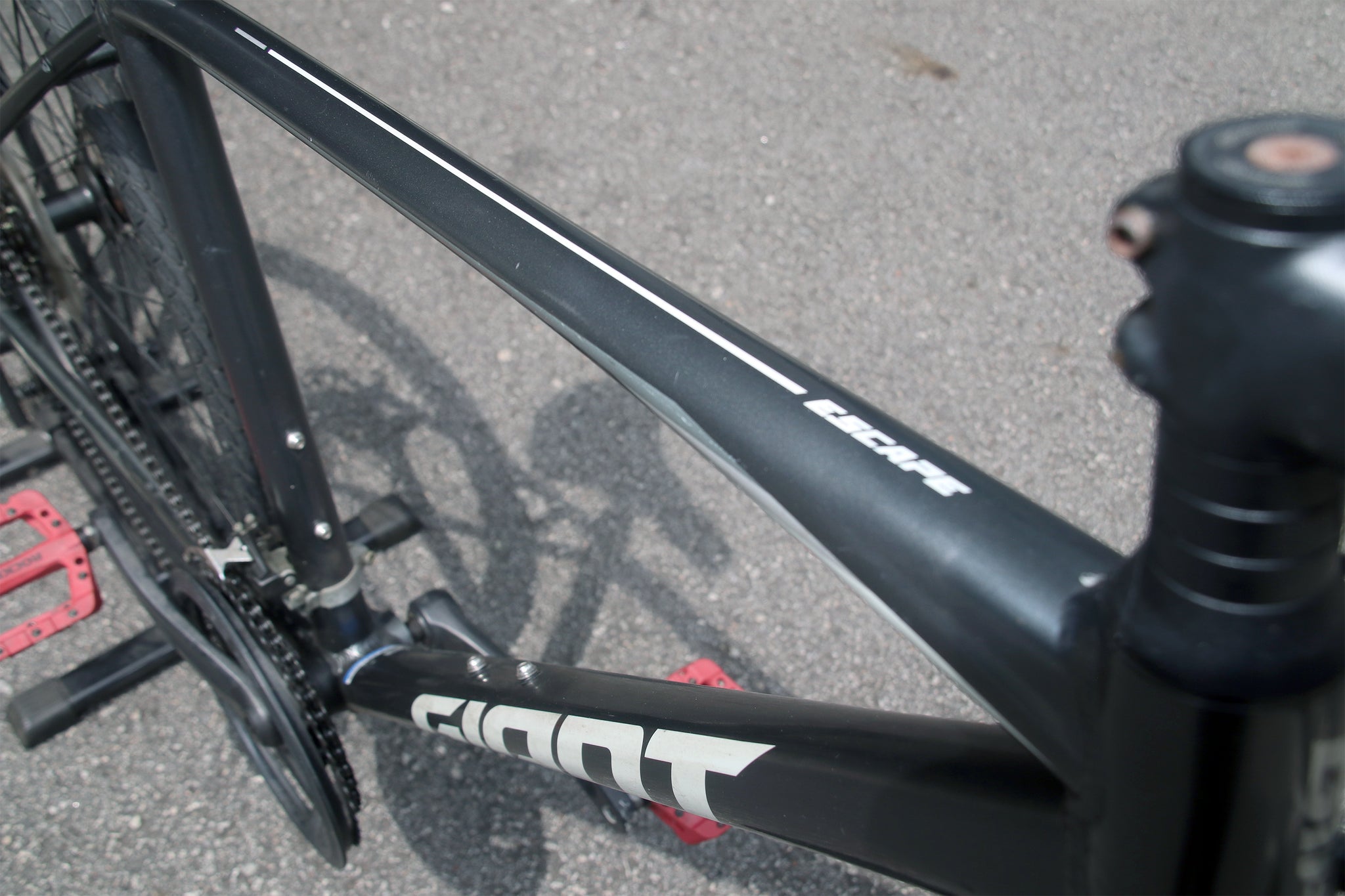 IMG_8920_2048x.jpg?v=1755409140