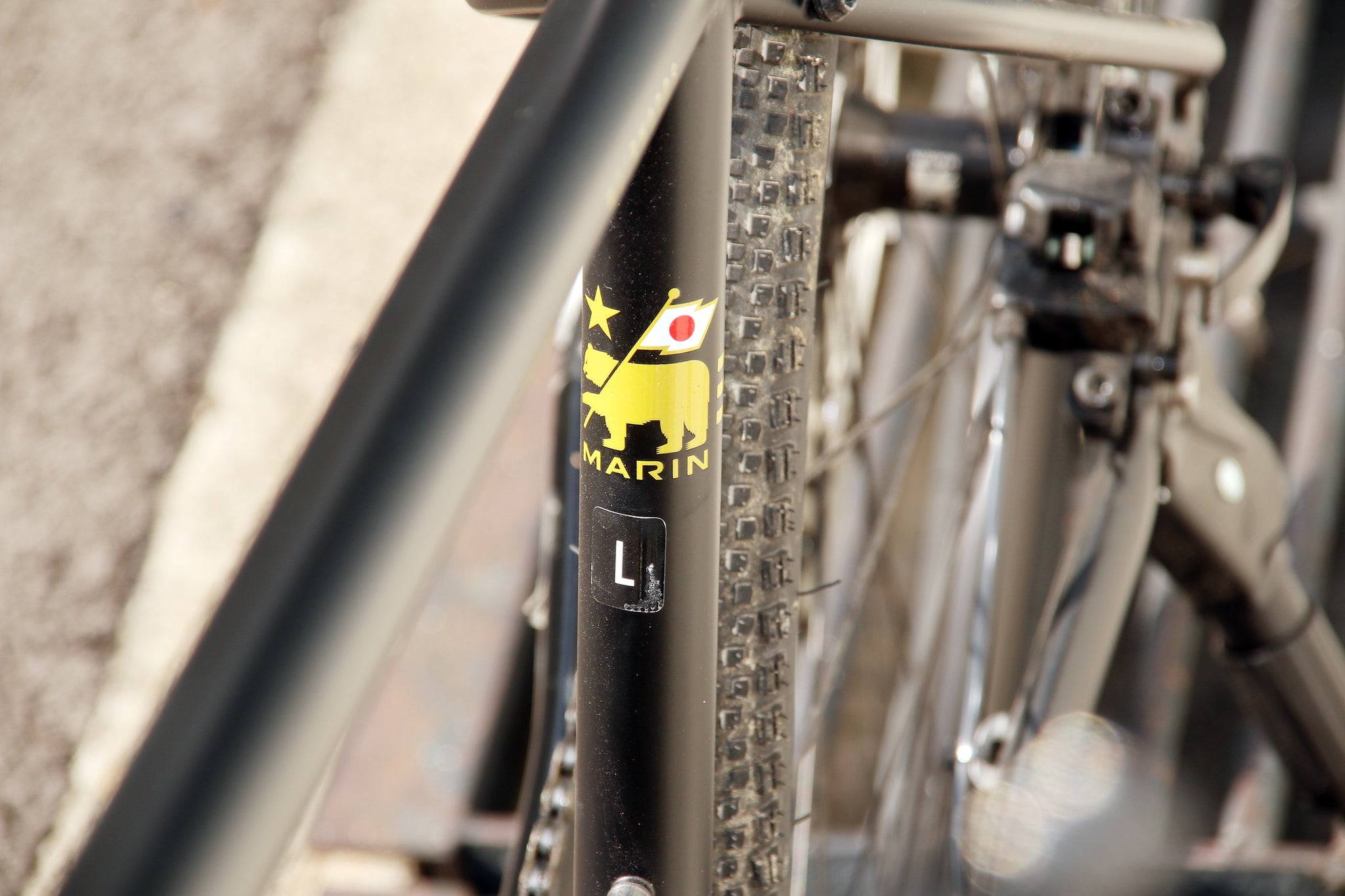 Marin Muirwoods SE [Upcycled] – Unspokin