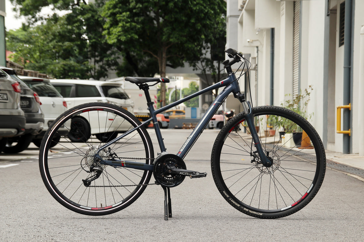 folding bike custom paint